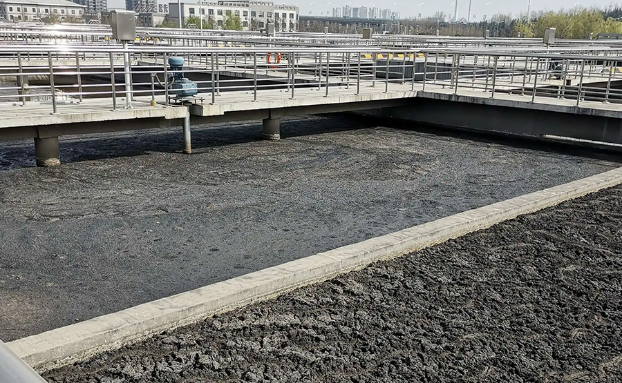 禽糞便過濾脫水設備:脫水離心機與臥螺離心機的革新應用(圖1) undefined