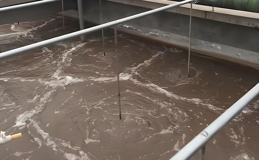 印染污泥脫水設備(圖1) undefined