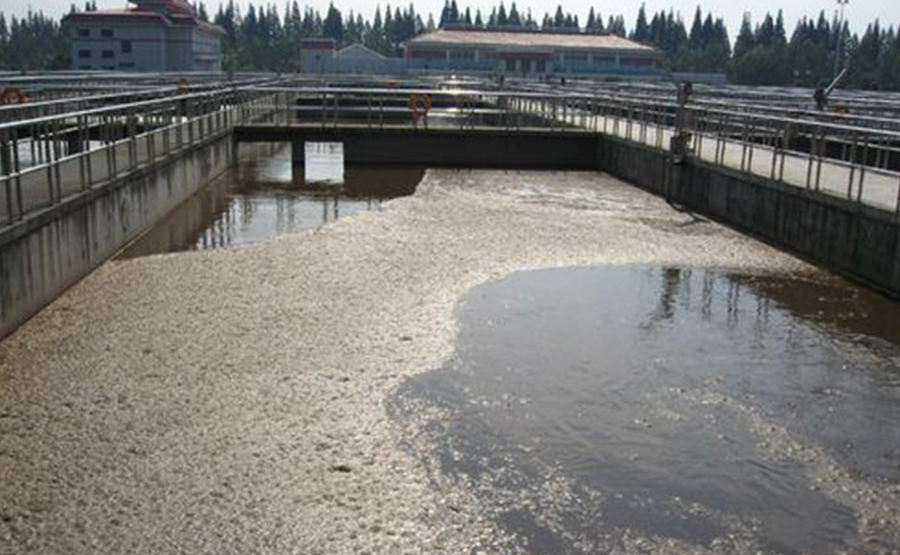 養(yǎng)豬污泥脫水機(jī):高效解決養(yǎng)殖廢棄物問(wèn)題的環(huán)保利器(圖1) undefined