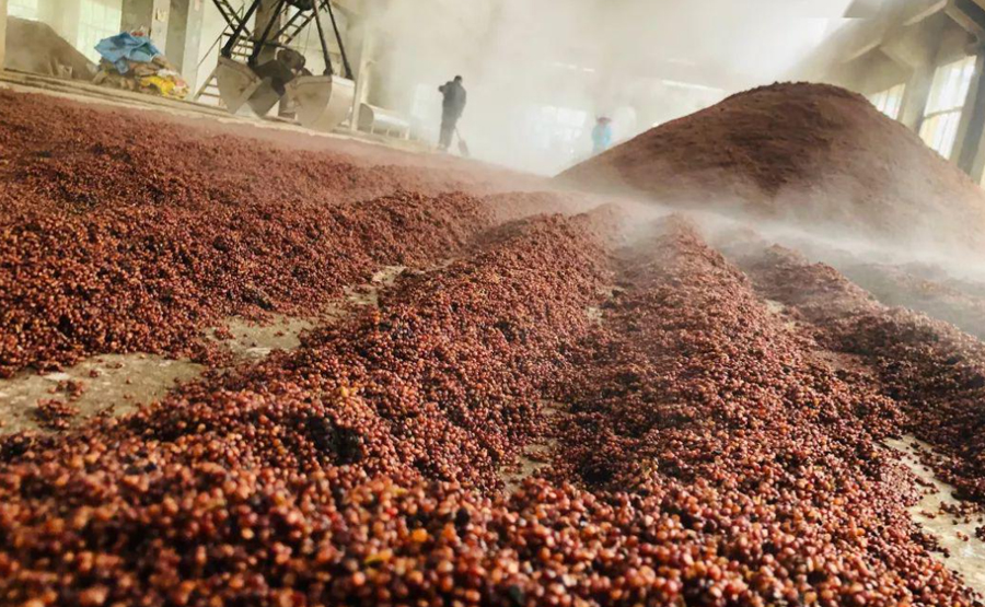 啤酒廠酒糟分離機(jī)(圖1) undefined