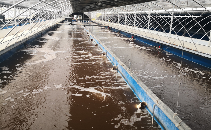 螺旋葉片激光堆焊在臥螺離心機(jī)應(yīng)用的研究(圖1) undefined