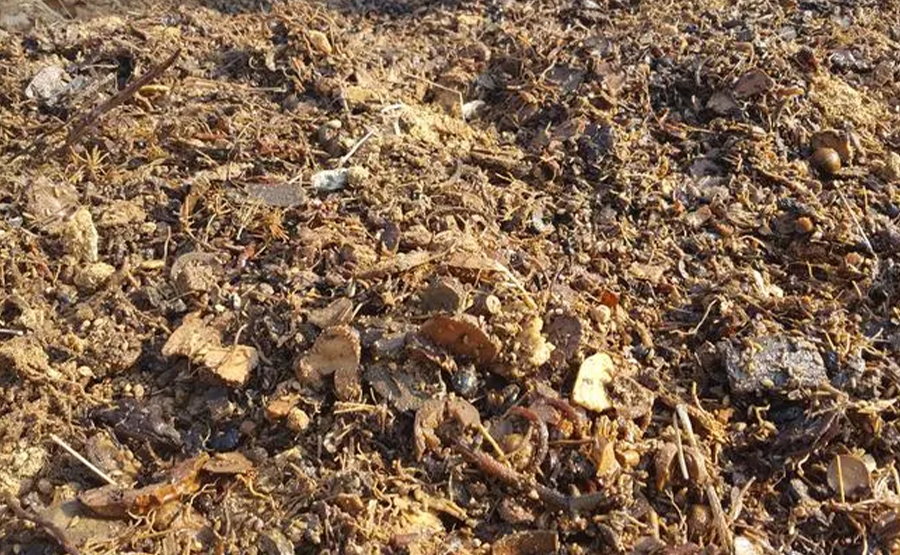 中藥提取設備(圖1) undefined