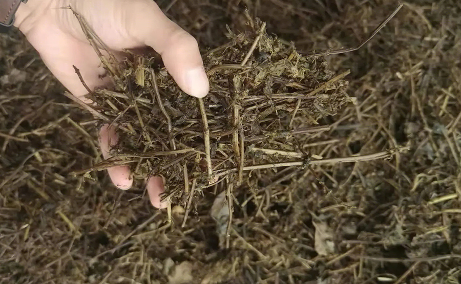 探秘正達(dá)環(huán)保中藥渣脫水機:如何讓中藥渣華麗轉(zhuǎn)身(圖2) undefined